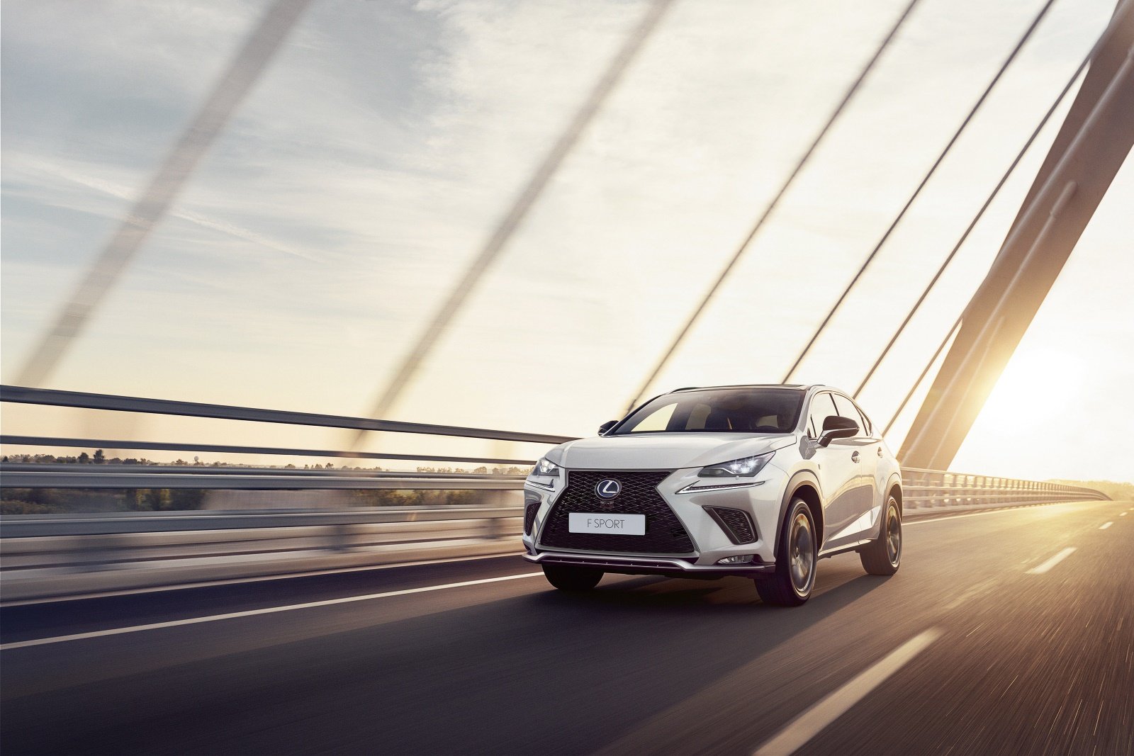 Lexus NX onderdelen Lexus NX